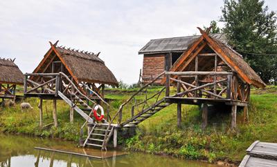 Сауна, лазня Зеленая усадьба «У Дорофея», Нежин відгуки, фото, адреса - banisauni.com.ua Зеленая усадьба «У Дорофея» відгуки, лазня/сауна Нежин  район г. Нежин, фото, адреса з картою проїзду.