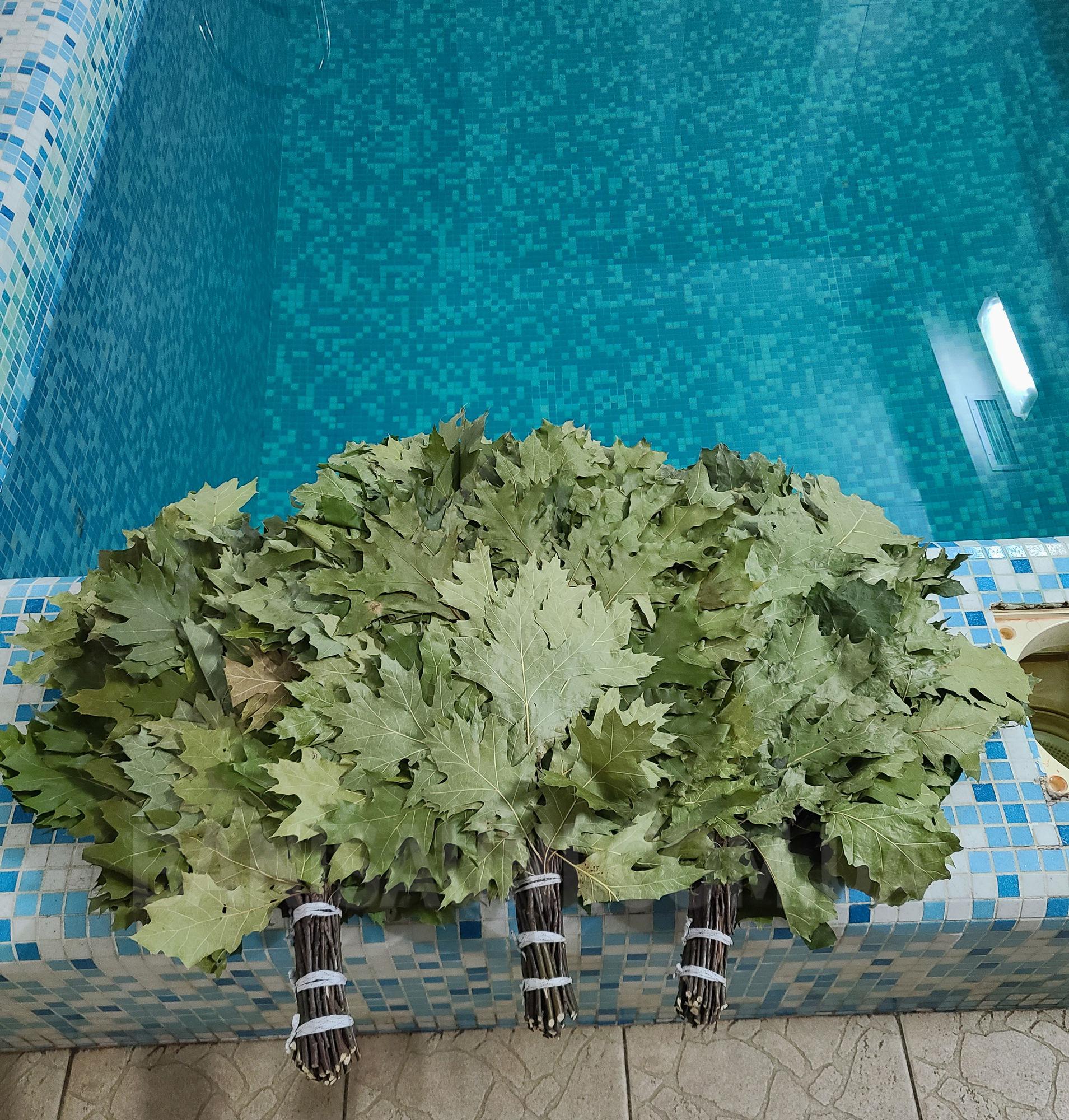 Сауна «Хвиля» відгуки, лазня/сауна Дніпро Новокодакскій район вул. Набережна Заводська, 91б, фото, адреса з картою проїзду.