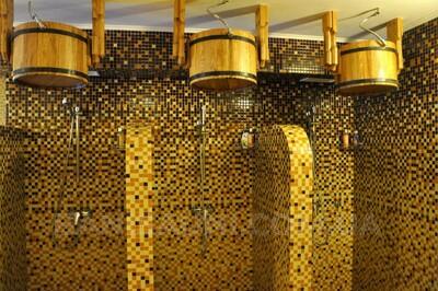 Старословʼянська лазня «Ладомир» відгуки, лазня/сауна Київ Київо-Святошинський район с. Гореничі, вул. Максима Рильського 19, фото, адреса з картою проїзду.