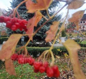 Сауни готельного комплексу «Червона Калина» на Дніпрі відгуки, лазня/сауна Київ Деснянський район Проспект Романа Шухевича 7, Парк Муромець (Північний міст), фото, адреса з картою проїзду.