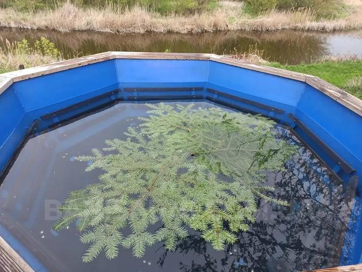 Лазня відгуки, лазня/сауна Переяслав-Хмельницький  район вул. Магдебурзького права, 23, фото, адреса з картою проїзду.