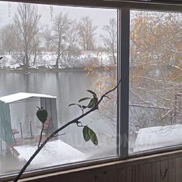 Сауна, лазня Баня на дровах «Лагуна» у воды, Киев відгуки, фото, адреса - banisauni.com.ua Баня на дровах «Лагуна» у воды відгуки, лазня/сауна Киев Оболонский район Улица Приречная, 32, фото, адреса з картою проїзду.