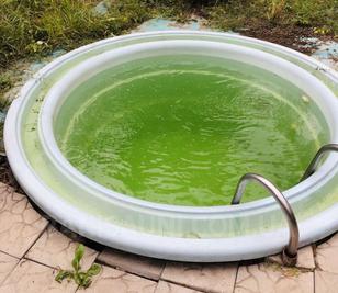 Лазня на дровах відгуки, лазня/сауна Дніпро Індустріальний район вул. Столетова, 19, фото, адреса з картою проїзду.