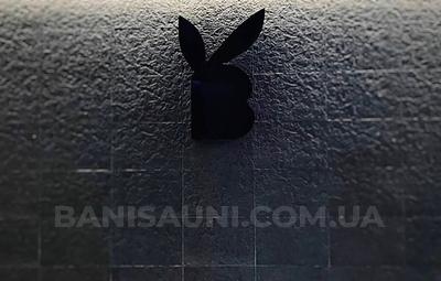 Сауна, лазня SpaBanny, Киев відгуки, фото, адреса - banisauni.com.ua SpaBanny відгуки, лазня/сауна Киев Шевченковский район ул. Костельная, 7, фото, адреса з картою проїзду.