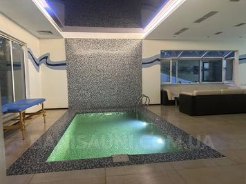 Дом с баней, бассейном, бильярдом «GOLDEN GATE» відгуки, лазня/сауна Новоселки  район ул. Оринина гора, 4а, Новоселки, Киевская область, фото, адреса з картою проїзду.